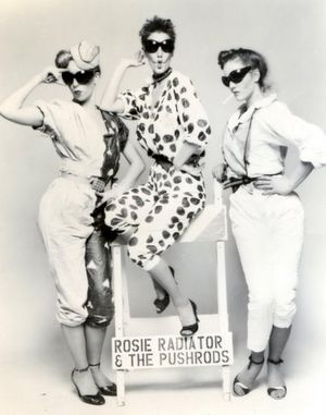 rosie_radiator_the_pushrods